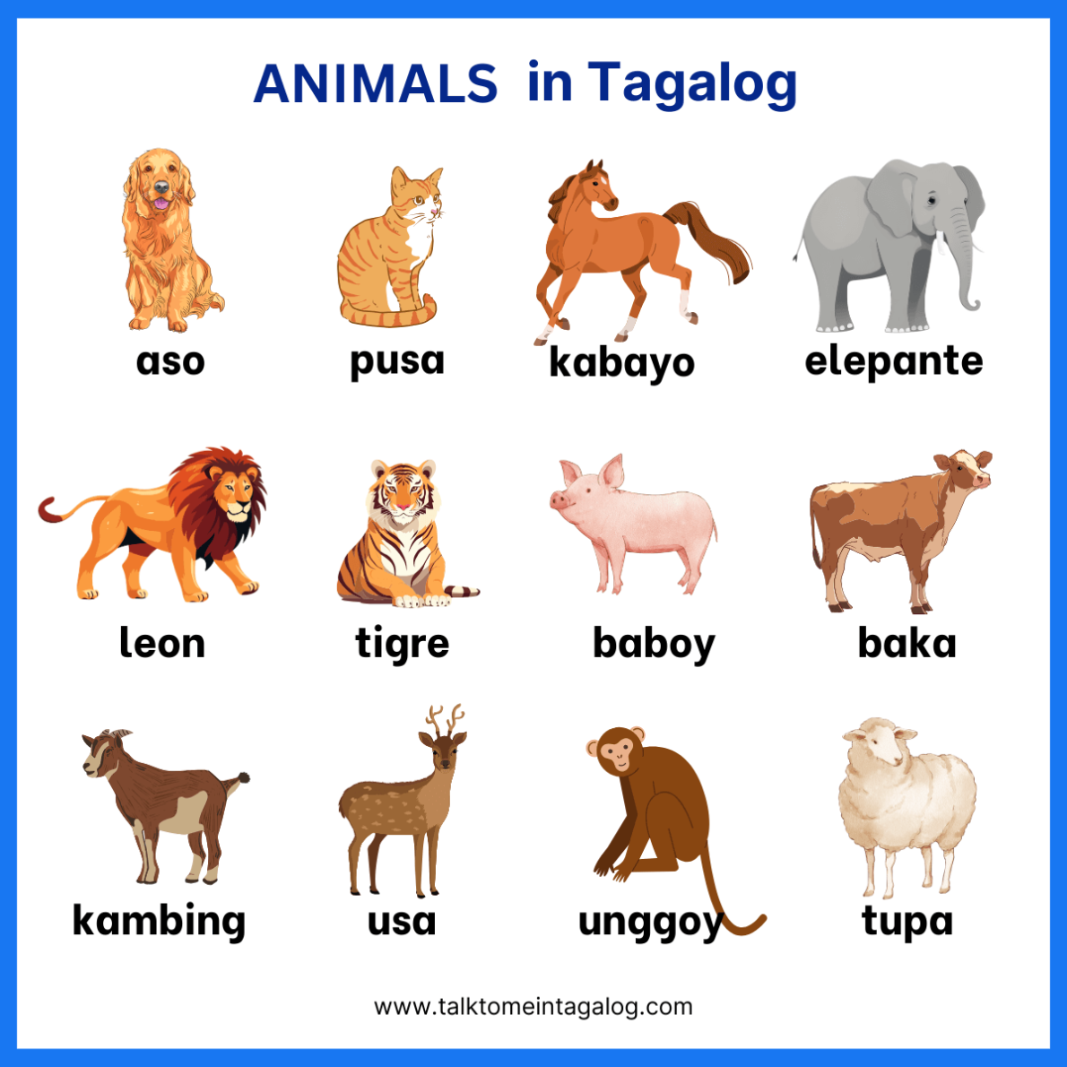 Animals in Tagalog